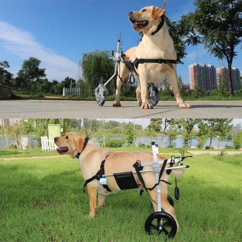 Vista 2 de Dog Wheelchair, for Back Legs Pet/Doggie Doggy Adjustable Doggy Light Weight Dog&Cat&Pets,for Injured, Disabled,Hind Limb Weak Pet, with Leg Brace