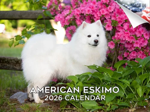 Vista 193 de Calendario de Lebrel Afgano 2025 2026, calendario mensual de pared de raza canina, 12" x 18" abierto, papel grueso sin traspaso, ideal para regalo