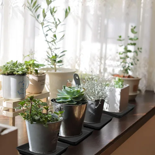 Vista 6 de 10 platillos cuadrados de plástico para plantas, maceta de 8 pulgadas, bandeja de goteo de plástico grueso para jardín, goteos de agua y tierra