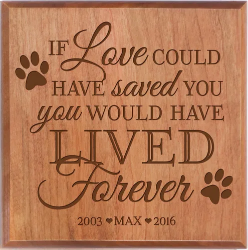 Vista 4 de LifeSong Milestones Urnas para mascotas, pequeña caja de recuerdo de condolencias para urna de mascotas para cenizas If Love Could Have You Pequeña