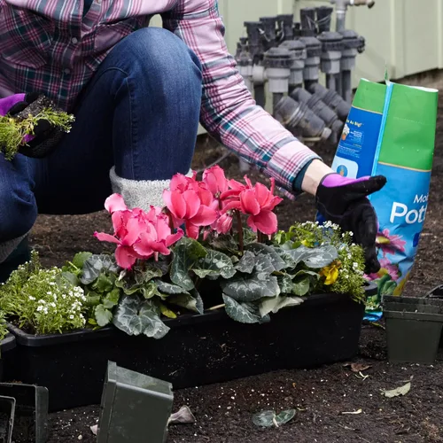 Vista 11 de Miracle-Gro Mezcla para macetas con control de humedad, para plantas en contenedor, protege contra el riego excesivo y insuficiente, 6 qt.