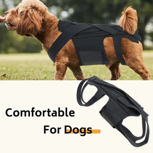 Vista 7 de Soporte de espalda para perro para IVDD, artritis, discos deslizados y herniados, recuperación quirúrgica y rehabilitación, ayuda a aliviar el dolor
