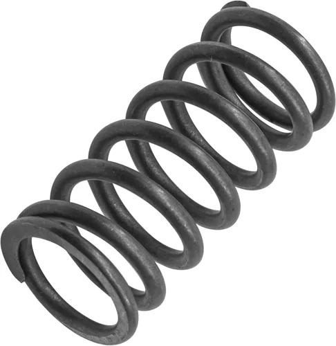 Vista 4 de Caltric Muelle de embrague compatible con Kawasaki Versys-X 300 2017-2023 92145-1750 921451750
