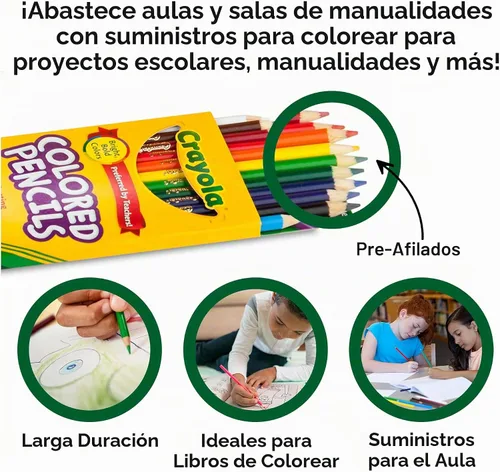 Vista 4 de Crayola Lápices de colores a granel, preafilados, 12 colores surtidos, paquete de 24