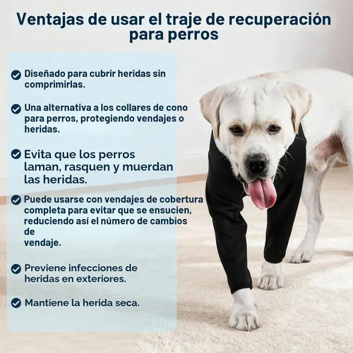 Vista 7 de BARKLESS Traje de recuperación para cirugía de perro para pierna delantera, transpirable y suave, camisa de manga larga para perro para dejar
