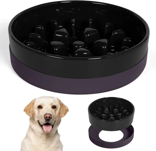 Vista 8 de Sted Cuencos de cerámica para perros con base de silicona Negro