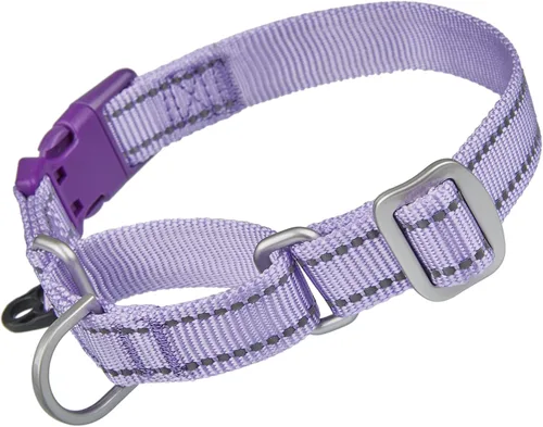 Vista 12 de Collar Martingale - Collar reflectante de nailon con hebilla de liberación rápida de seguridad, a prueba de escapes, antitirones para perros Negro