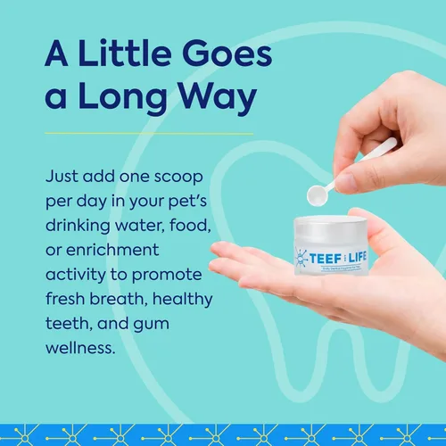 Vista 8 de TEEF FOR LIFE Protektin42K Kit de polvo dental prebiótico para gatos