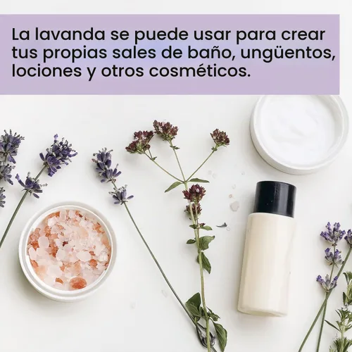 Vista 6 de Flores secas de lavanda orgánicas (caja de 5 libras), capullos de lavanda a granel