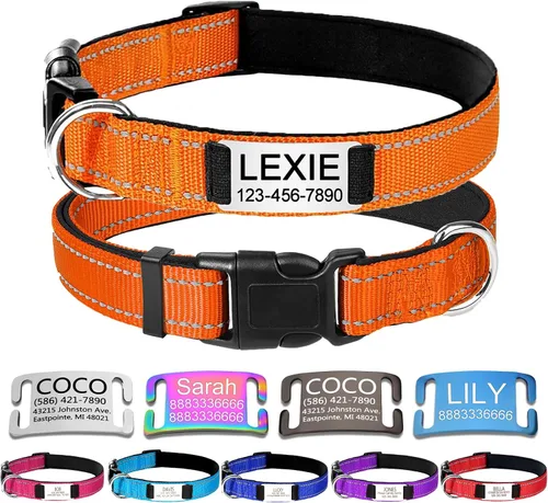 Vista 16 de Collar de perro de nailon personalizado con placa de nombre grabada, S, negro Custom engraved name & phone; reflective stitching, adjustable