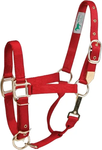 Vista 13 de Hamilton, Halter de 1 pulgada con barbilla ajustable, azul baya, 800-1100 libras