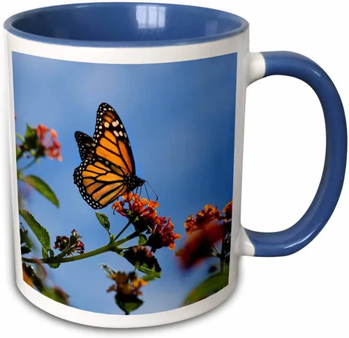 Vista 10 de 3dRose USA, California. Monarch butterfly on lantana flower. 15oz Two-Tone Black Mug