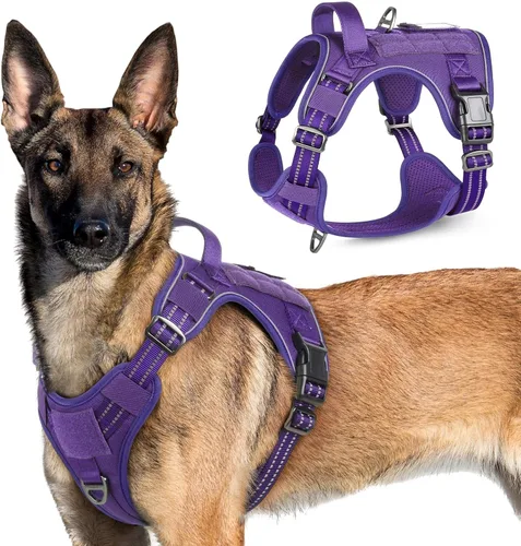 Vista 72 de rabbitgoo Arnés táctico para perros pequeños, chaleco de servicio militar sin tirones con asa y Molle, de fácil control para entrenar y caminar