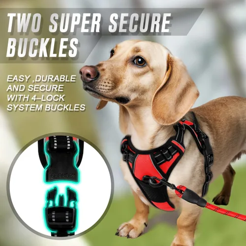 Vista 173 de BARKBAY - Arnés para perro sin tirones con clip frontal, material resistente y reflectante, asa de fácil control para pasear perros grandes