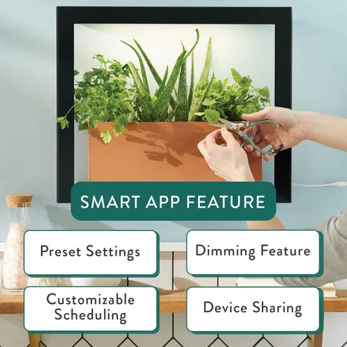 Vista 9 de Modern Sprout Smart Growframe - Soporte para plantas montado en la pared con luz LED de cultivo - Control inteligente por aplicación - Marco