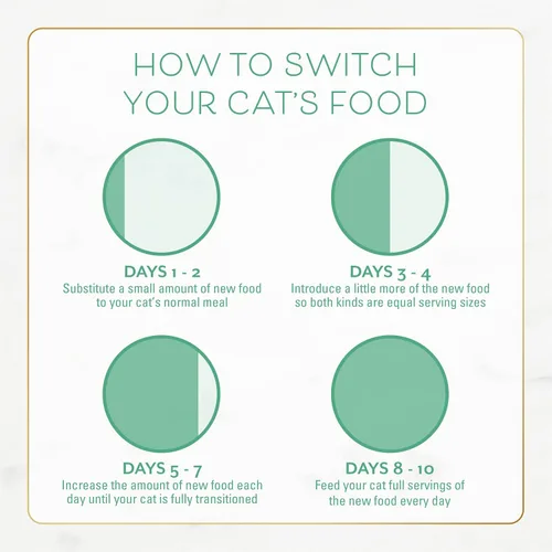 Vista 11 de Purina Fancy Feast - Alimento seco para gatos con pescado y salmón del océano (paquete de 4) bolsas de 16 onzas