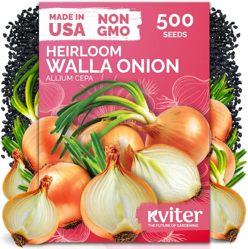 Vista 45 de KVITER 3000 semillas de espinaca egipcias - Molokhia (Corchorus Olitorius) - Hojas de yute, Ewedu, Día de Rau, Semillas de vegetales Saluyot