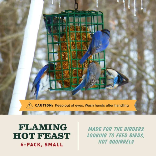 Vista 2 de Mr. Bird Flaming Hot Feast - Paquete de 6 pasteles pequeños de semillas de aves silvestres, 4 onzas Premium Blend of Mealworms, Peanuts & Hot