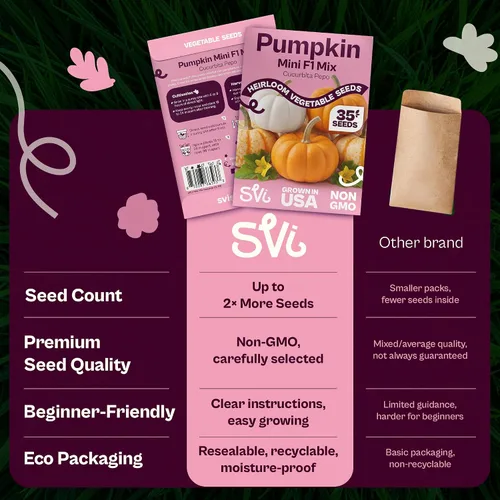 Vista 6 de SVI 35 Mezcla Mini Calabaza Heirloom Otoño Semillas Vegetales Cucurbita
