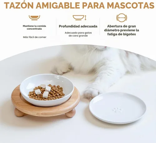 Vista 5 de Havniva Cuencos elevados para gatos, juego de cuencos de comida y agua para Blanco