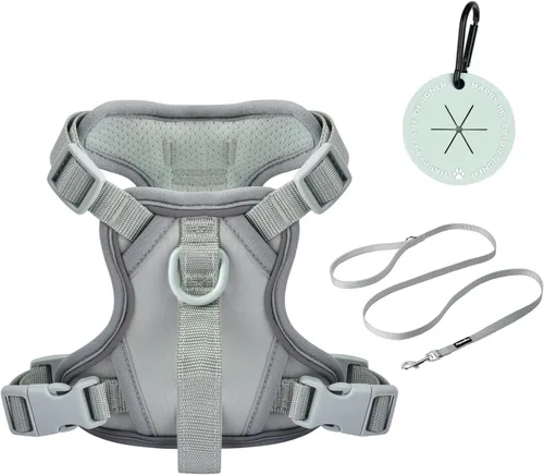 Vista 9 de Petmolico Arnés para perros pequeños, bonito arnés con dos clips para correa y mango suave, chaleco reflectante para cachorros fácil de caminar
