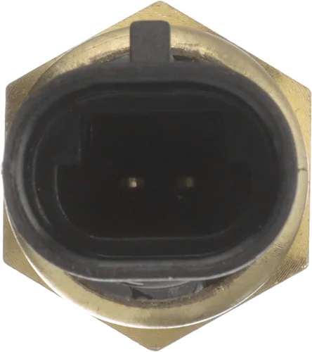 Vista 7 de Delphi TS10075 Sensor de temperatura del refrigerante