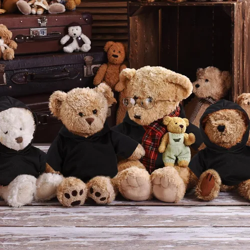 Vista 4 de 6 piezas de ropa de oso de peluche, camiseta de sublimación de oso de peluche, camisetas clásicas de oso de peluche, camisetas con capucha de 14 a