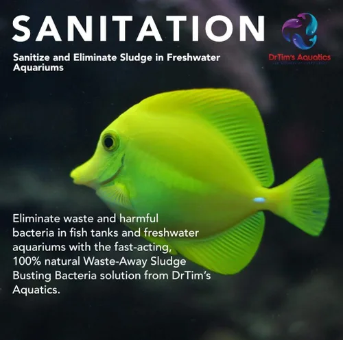 Vista 3 de DrTim's Aquatics Agua dulce Waste-Away (DrTim's Aquatics Waste-Away Freshwater 4oz)
