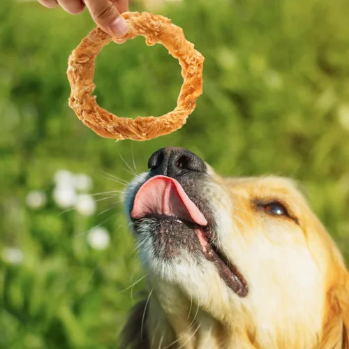 Vista 8 de Jungle Calling Tendones de carne para perros adultos, tendones envueltos en pollo, masticables para perros de larga duración, suplemento para cadera