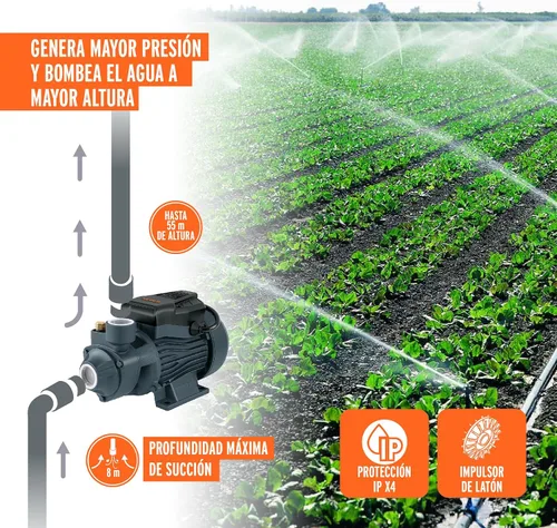 Vista 5 de Bomba periférica agua eléctrica 3/4 HP