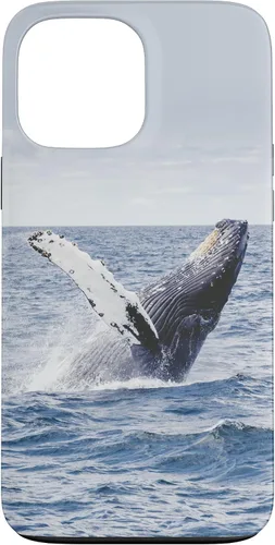 Vista 24 de Whale Case for iPhone 17