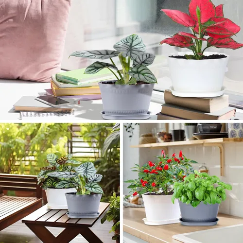 Vista 8 de Oliz Macetas de hierbas, 6 unidades, jardinera de ventana, macetas para plantas suculentas de cactus con bandejas, para decoración del hogar Blanco
