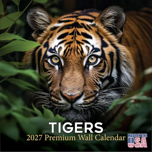 Vista 251 de Calendario de grises africanos 2025 2026 – Planificador mensual de pared de aves africanas – 12 x 18 pulgadas (abierto), calendario de pared