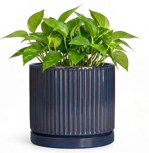Vista 58 de 8 Inch Flower Pot, Ceramic Planters, Round Plant Pot, Beige