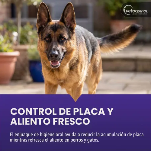 Vista 2 de Vetoquinol Dentahex - Enjuague de higiene bucal para mascotas, 8 onzas