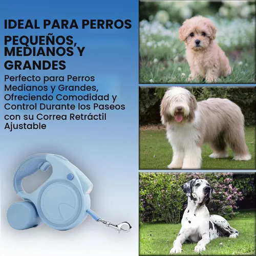 Vista 5 de Correa retráctil para perro con linterna y dispensador, correa retráctil para perro de 16 pies es perfecta para caminar seguro y cómodo con tu Azul