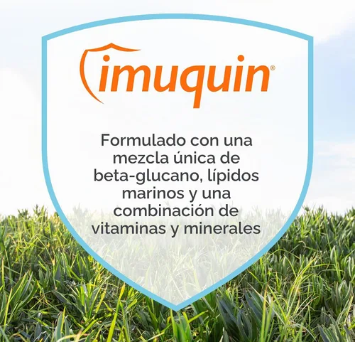 Vista 3 de Nutramax Imuquin Suplemento de apoyo inmunológico para perros, paquetes de polvo, 30