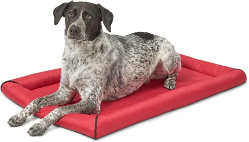 Vista 15 de MidWest Homes for Pets Small QuietTime MAXX - Cama para perro ultra resistente, resistente al agua y al olor, borde reforzado, parte inferior