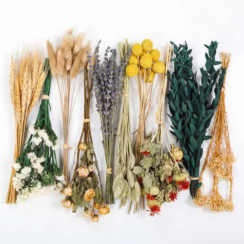 Vista 10 de LUXEEASE 11 tipos de mini ramo de flores secas mixtas con tallos, 176 Neutrales Naturales