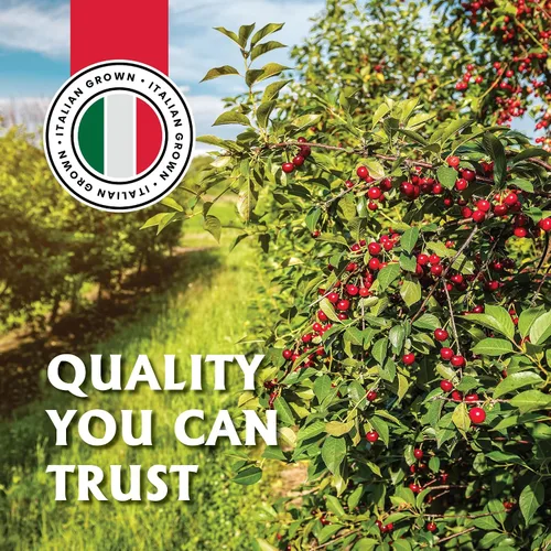 Vista 8 de Gourmanity Cerezas al marrasquino, cóctel italiano de marasca en almíbar