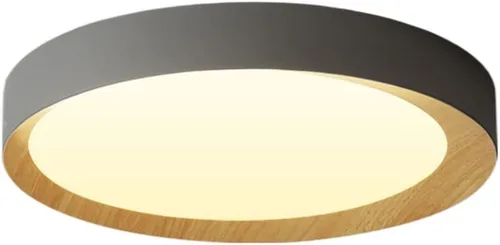Vista 9 de Lámpara de techo LED de atenuación continua con control remoto regulable lámpara de techo LED creativa simple luz plana moderna accesorio de montaje