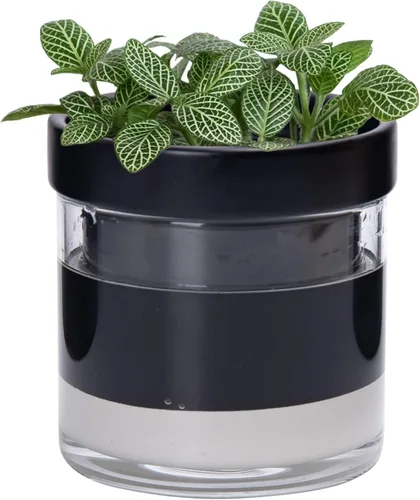 Vista 30 de Phoenix Vine Maceta de riego automático de 4 pulgadas, maceta de arcilla de terracota con depósito de vidrio para plantas de interior, hierbas