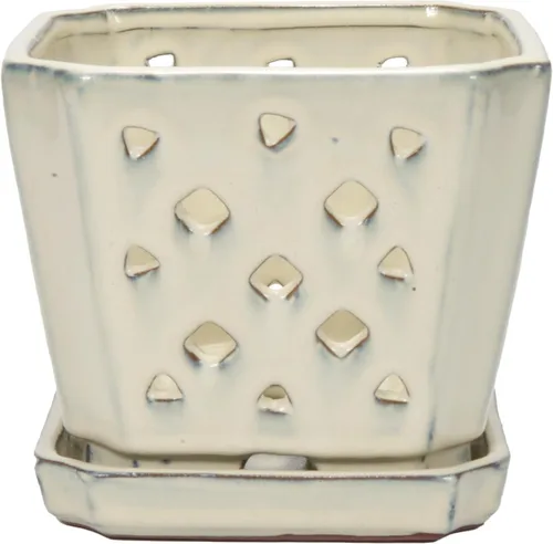 Vista 2 de W&W Orchid Pot with Holes and Saucer for Repotting and Better Grow, Cream White, 7" Blanco crema
