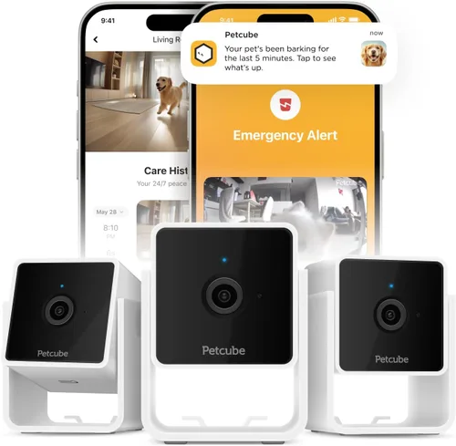Vista 9 de Petcube Cam Cámara Wi-Fi interior para mascotas y de seguridad con aplicación para teléfono, monitor de mascotas con audio y video bidireccional