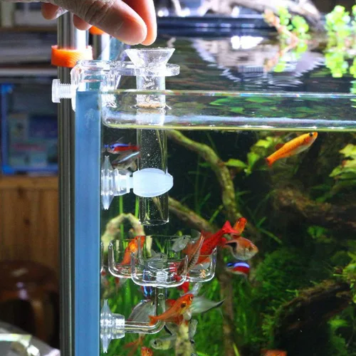 Vista 5 de Kit de plato de alimentación y tubo de alimentación para peces pequeños de camarones de acuario, incluye tubo de alimentación de vidrio, plato