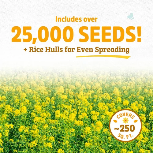 Vista 2 de Cover Crop Yellow Mustard - Cobertura de 1000 pies cuadrados Amarillo mostaza