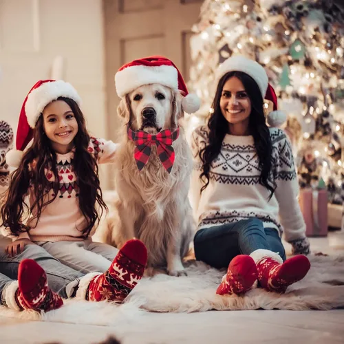 Vista 2 de ADOGGYGO Collar de Navidad para perro con lazo, ajustable de algodón rojo a cuadros, collares de Navidad para perros pequeños, medianos y grandes