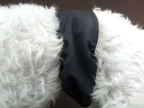 Vista 2 de Pañales reutilizables para perros machos A prueba de fugas, lavables, pañales para perritos Envolturas para perros machos Bandas