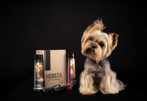 Vista 2 de Kit de champú hidratante prémium para perros y gatos + máscara – Henna y aceites naturales para un pelaje brillante y sin enredos – Juego de 12.5 oz