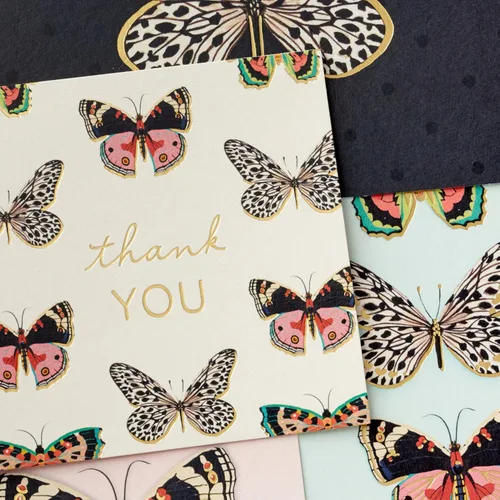 Vista 5 de Hallmark Tarjetas de mariposa en blanco, paquete surtido de 24 (gracias, hola)